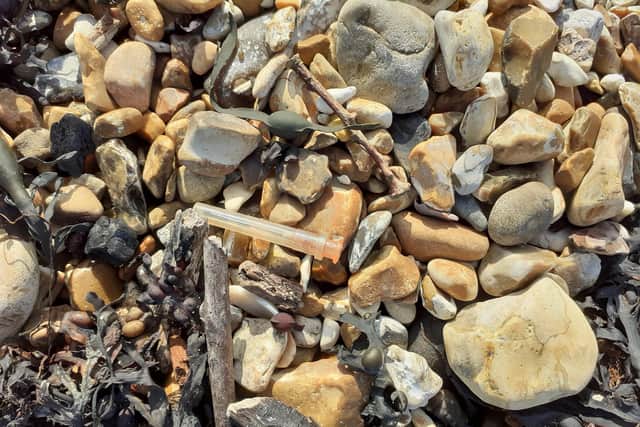 Waste at Hayling Island seafront on Sunday, October 10