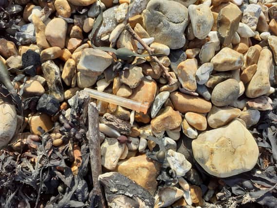 Waste at Hayling Island seafront on Sunday, October 10