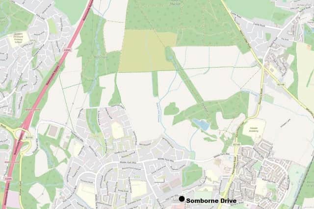 Louise was last seen in Somborne Drive and her body was found in Havant Thicket.