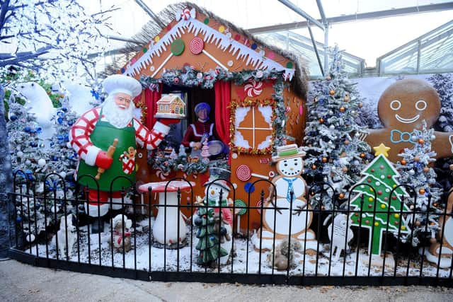 Santa's Woodland Walk at Keydell Nurseries in Horndean in 2019 Picture: Sarah Standing (141119-2100)