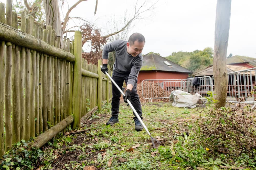 Volunteers from Barratt help out at Marwell Zoo.