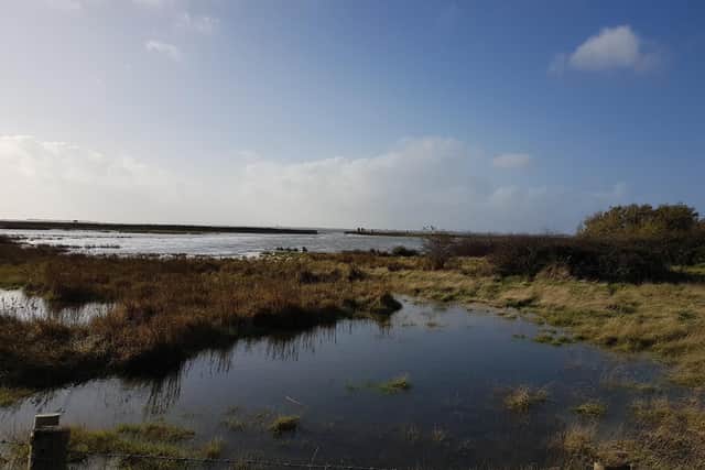 A flooded Southmoor Nature Reserve after stormwater punched through a hole in its sea defences