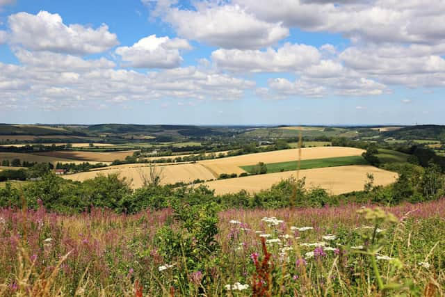 A summer view of the South Downs from Butser Hill, Hampshire