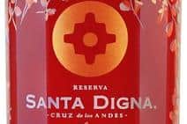 Miguel Torres Santa Digna Rosé 2019