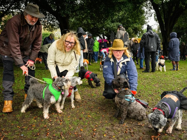 Pictured is: Phil Riley Nicky Hill and Jules Riley with their Schnauzers.
Picture: Keith Woodland (291021-30)