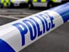 Man in his 40s and a dog die in fatal Isle of Wight collision - police launch appeal