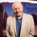 Sir David Attenborough. Picture: David Parry/PA Wire