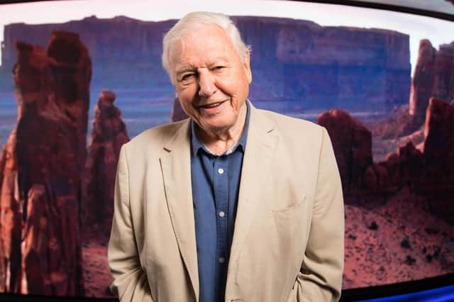 Sir David Attenborough. Picture: David Parry/PA Wire