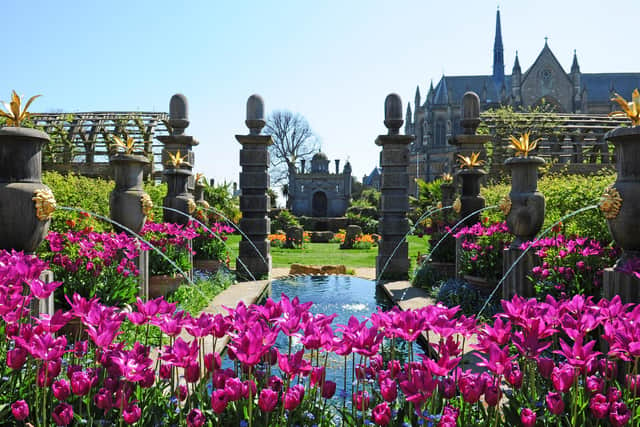 Tulips in The Collector Earl's garden at Arundel Castle by Derek Martin.