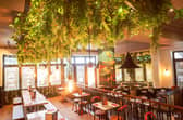 A look inside restaurant, Banana Tree in Gunwharf Quays, Portsmouth. Picture: Habibur Rahman