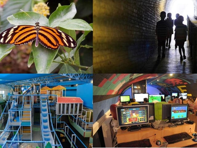 We have compiled a list of perfect things to do this half term if the weather takes a turn for the worst.