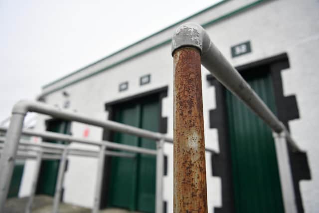 Pompey's League One trip to Plymouth on Wednesday night is now off after a Covid outbreak in the Pilgrims' camp   Picture:  Dan Mullan/Getty Images