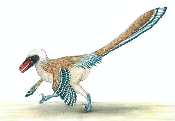 An artist's recreation issued by University of Bath of Vectiraptor greeni, a new bird-like dinosaur that used brute strength to overcome its prey has been found by palaeontologists re-examining fossils found nearly two decades ago on the Isle of Wight.