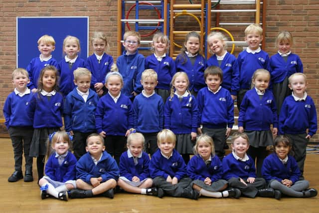 Turtle Class