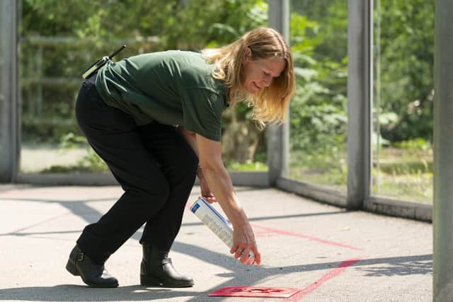Marwell Zoo gets ready for their reopening.