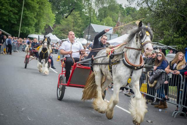 Horse owners showing off their horses down The Square at the annual Wickham Horse Fair on May 20, 2019. Picture: Habibur Rahman