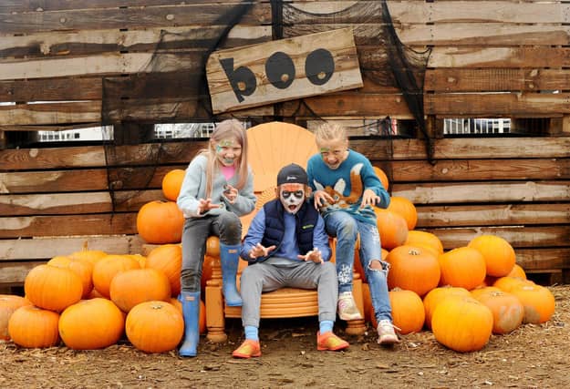 Pictured is: (l-r) Bella Horne (8), Teddy Horne (10) and Annabel Scudamore (8) all from near Petersfield.
Picture: Sarah Standing (251023-2152)