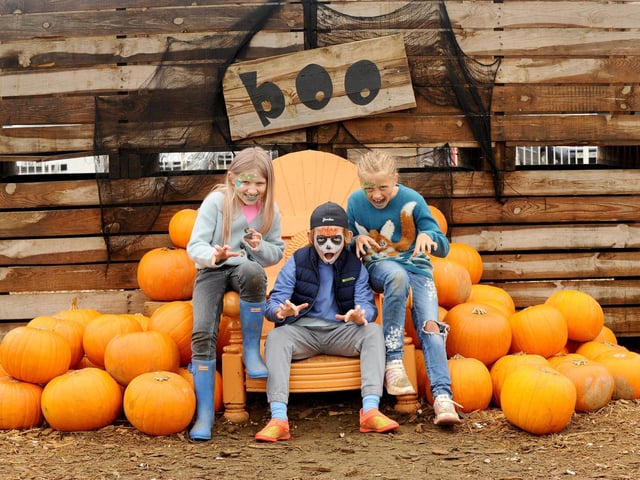Pictured is: (l-r) Bella Horne (8), Teddy Horne (10) and Annabel Scudamore (8) all from near Petersfield.
Picture: Sarah Standing (251023-2152)