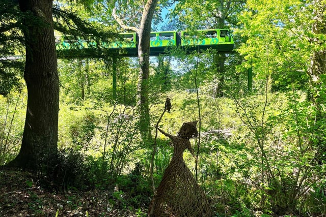 New Forest Folklore: Fairies, Witches and Dragon trail