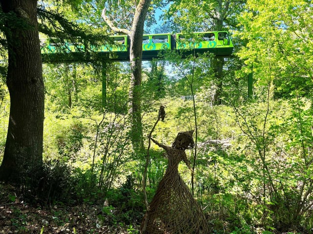 New Forest Folklore: Fairies, Witches and Dragon trail