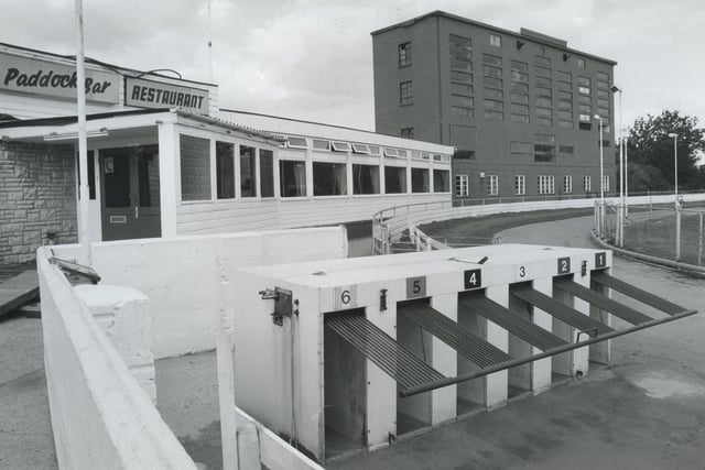 The starting gates at Tipner Greyhound Stadium in September 1990 PP4178