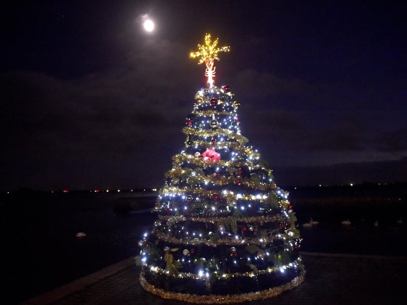 Emsworth Christmas Lights were switched on during Friday evening, November 28, 2025, in St Peter's Square, Emsworth.
Pictured is: The Lobster Pot Christmas tree.
Picture: Sarah Standing (281125-3196)