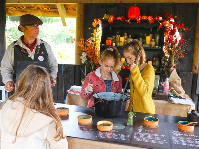 October half-term activities at Beaulieu