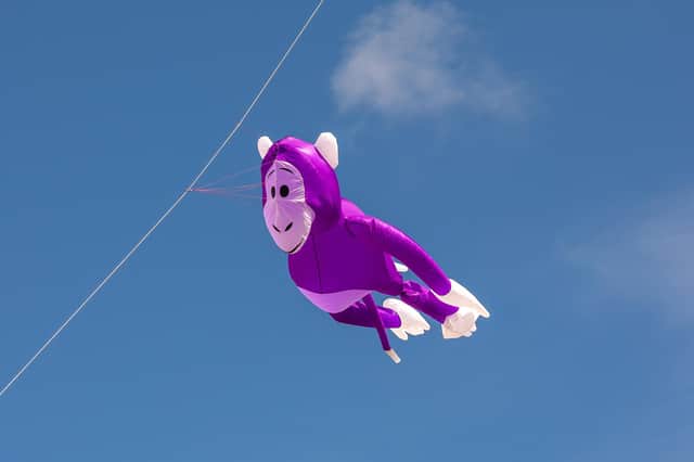 One of the airborne characters at the Kite Festival. Picture: Mike Cooter (070821)