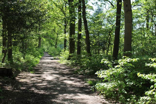 Areas of Havant Thicket which could be impacted by the reservoir plans. Picture: Emily Turner