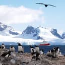 In Antarctica on 20th January 2007. Pictured here with Gentoo penguins.