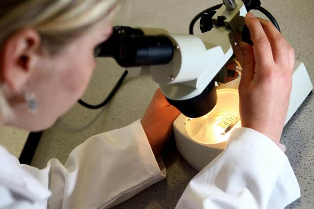 File photo dated 19/05/08 of a woman looking through a microscope.
