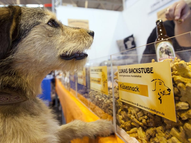 Frozen treats and water ice lollies will go down a treat with you pooch during the summer months. 
It is also a good idea to put pet approved sun cream on dogs that do not have a lot of thick hair to prevent them being burnt.