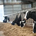 Farmers have struggled with the rising costs of fuel, animal feed and fertiliser. Picture: John Devlin
