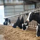 Farmers have struggled with the rising costs of fuel, animal feed and fertiliser. Picture: John Devlin