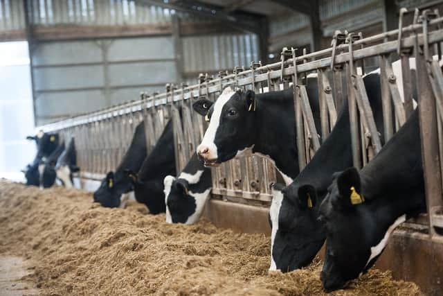 Farmers have struggled with the rising costs of fuel, animal feed and fertiliser. Picture: John Devlin