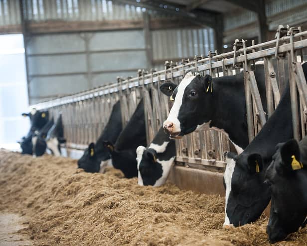 Farmers have struggled with the rising costs of fuel, animal feed and fertiliser. Picture: John Devlin
