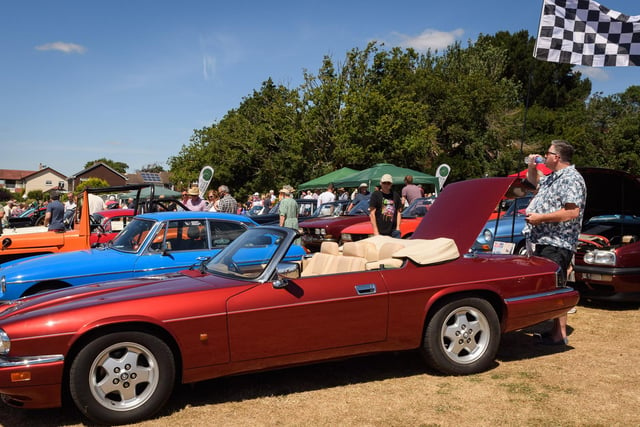 More than a dozen classic cars were shown off to festival attendees.