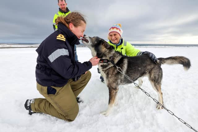 Pictured: Lt Delbridge being greeted by the only dog on the island of Jan Mayen.