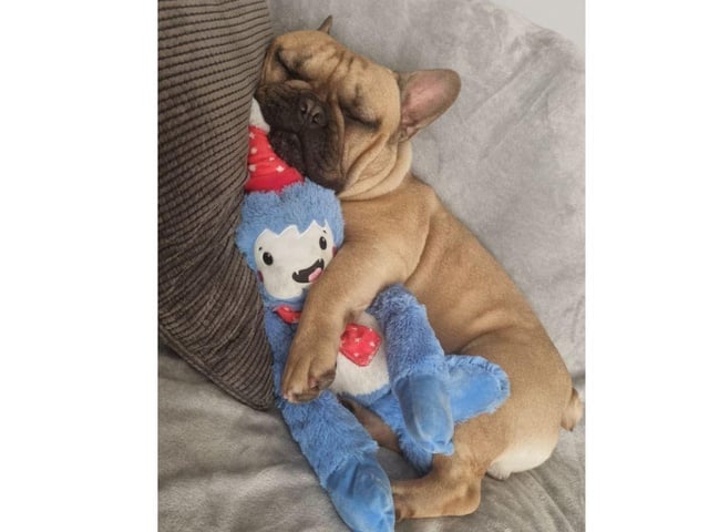 This picture of Ernie Bear is lovely. Thank you Victoria Kerridge for sharing.