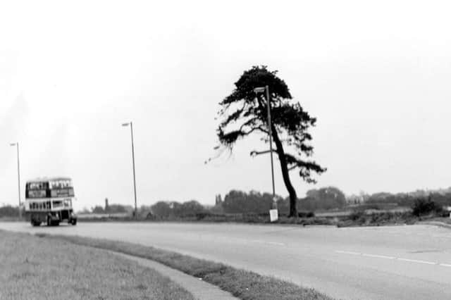 THEN: Fir Tree Corner, circa 1962. The spot where Eastern Road was planned to have its junction with Havant Road.