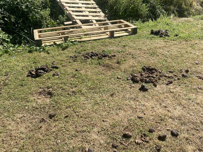 Travellers leave disgusting mess in Waterlooville after week-long stay