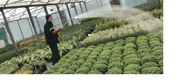 Garden centre watering, image from the Horticultural Trades Association (HTA)
