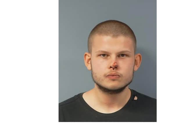 Liam Williams, 19, of the Isle of Wight, has been jailed after he repeatedly stabbed a child in the chest and stomach