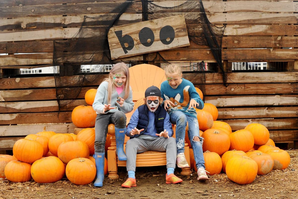 Rogatade 13 pictures from Rogate Pumpkin Patch's Halloween spectacular