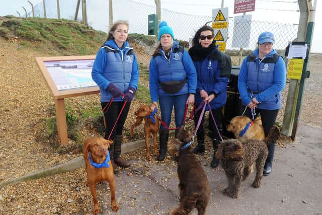 Dog walkers from Doggie Holiday Homes, from left, Donna Marshall, Helen Humphries, Fiona Quade and JoJo Goodwin, who faced having to get a licence to walk their dogs at Browndown

Picture: Sarah Standing (140220-7669)