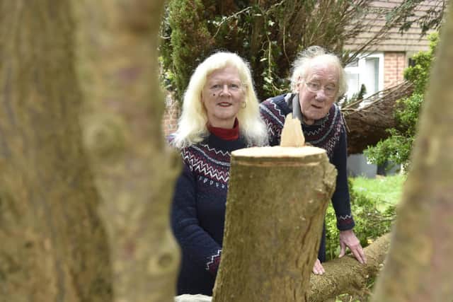 David and Dale Llewellyn said they both heard a crash while they were in their front lounge. Picture: Sarah Standing (270423-2607)