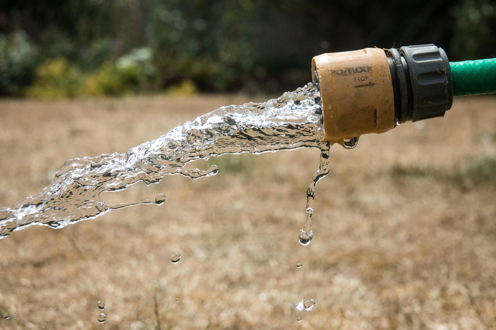 Portsmouth Water issues warning to customers over hosepipe ban as hot ...