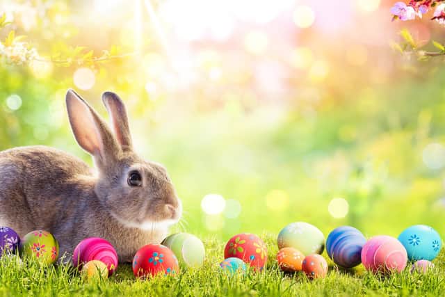 The Easter Bunny gv