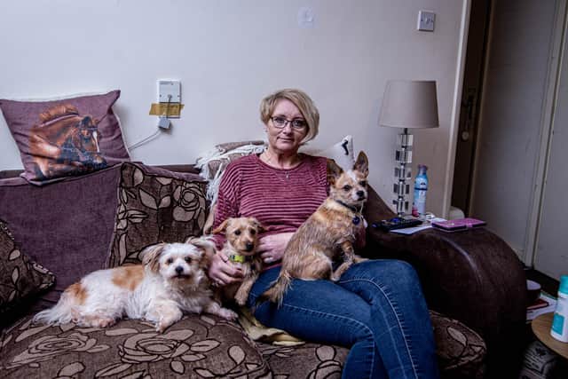 Alisha Gammans and her dogs, Bella, Loki and Alfie at her home in Cosham, Portsmouth
Picture: Habibur Rahman