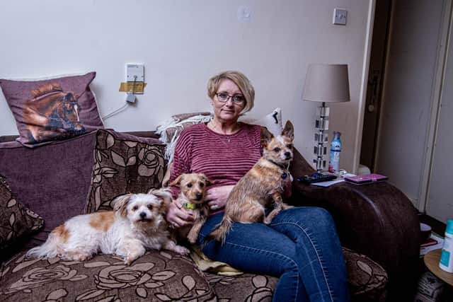 Alisha Gammans and her dogs, Bella, Loki and Alfie at her home in Cosham, Portsmouth 
Picture: Habibur Rahman